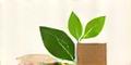 Logo van Duurzame Voedselbox: Groene Levering
